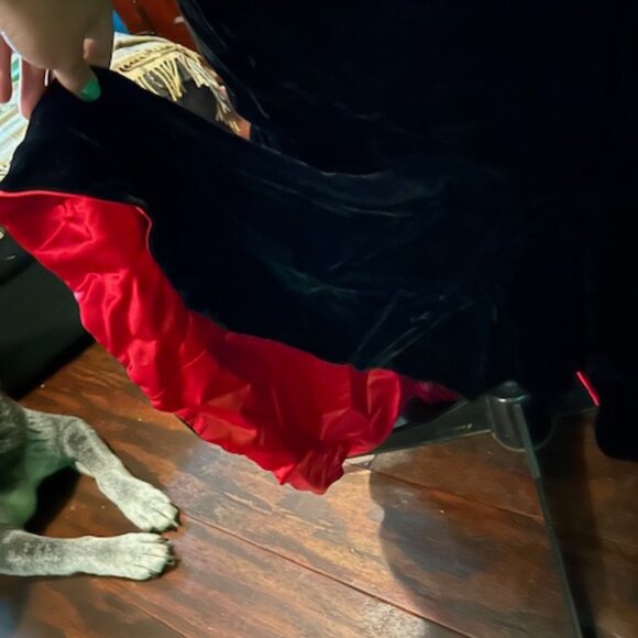 1992 Jessica McClintock Gown, Size 6 US - Picture 2 of 6